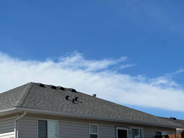 Best Sheet Metal Roofing  in Greenbriar, FL